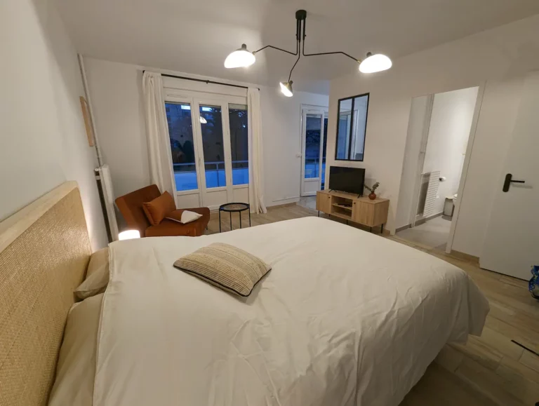 appartement-cosy-airbnb-decines-studio